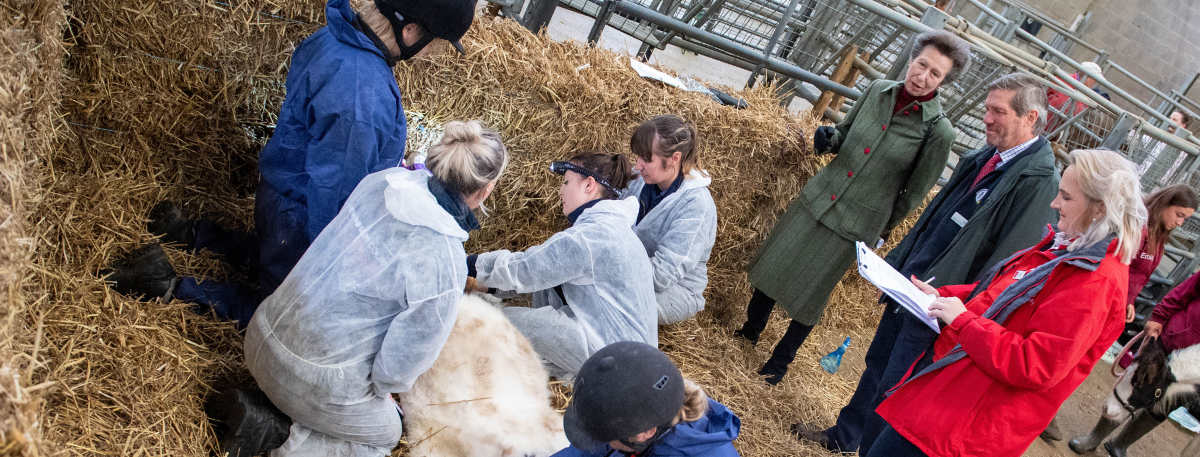 HRH The Princess Royal visiting Ashford Cattle Market in September 2021