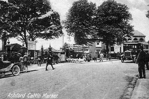 Cattle Market, Elwick Road, 1925, postcard.