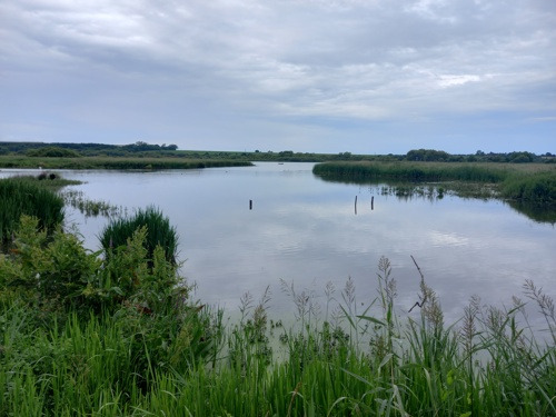 A picture of Stodmarsh Nature Reserve