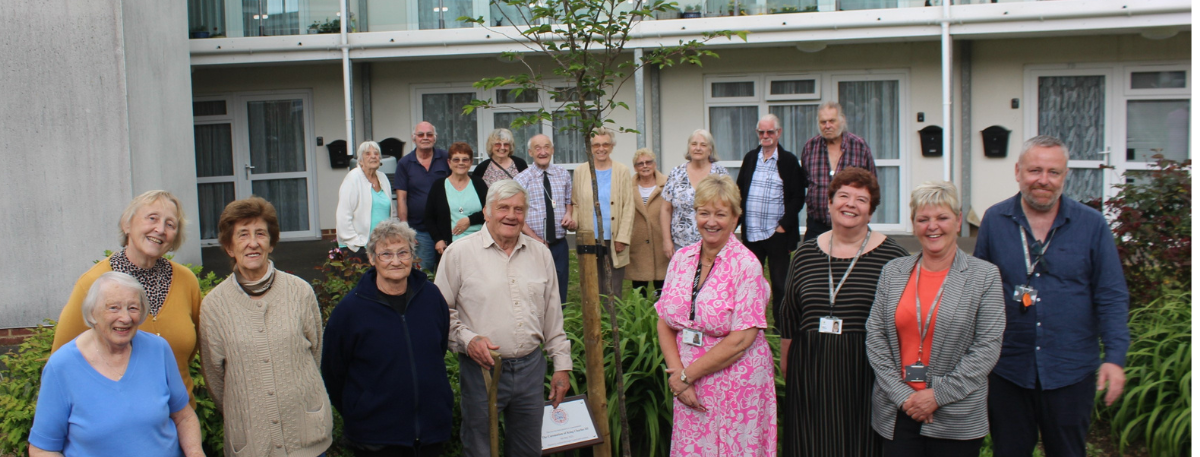 Residents of Luckley House planting a Coronation cherry blossom tree