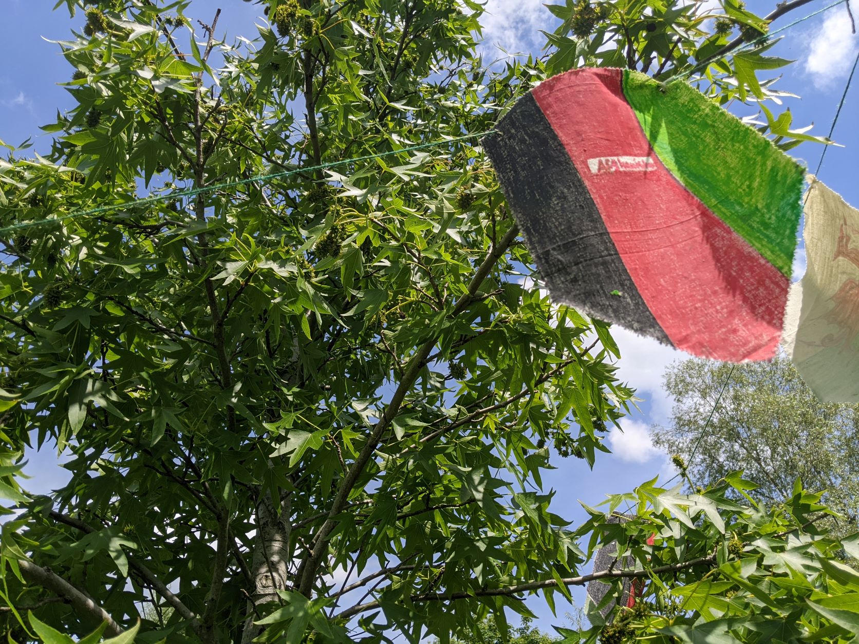 Image entitled Flags Of Peace 2