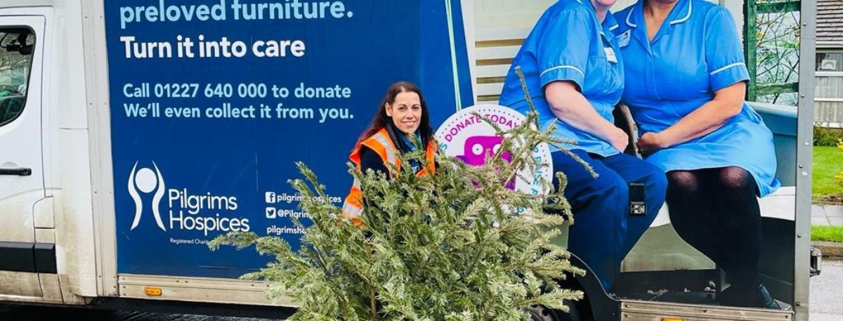 Person holding a Christmas tree