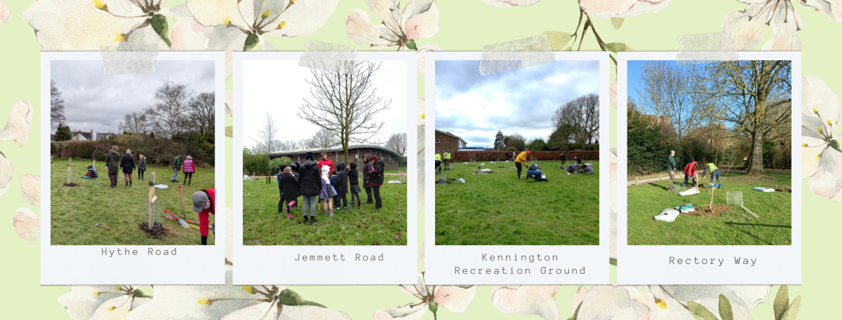 Montage pictures of people planting trees