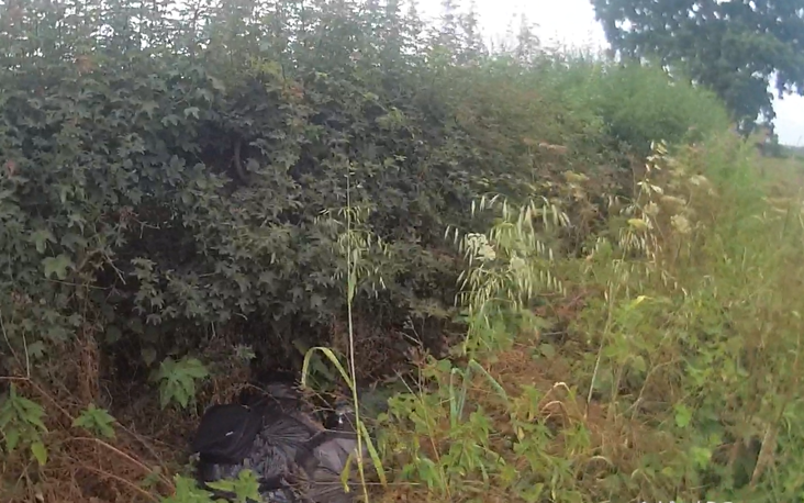 Fly-tipped rubbish in Ninn Lane, Singleton