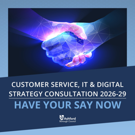 Customer Service, IT & Digital Strategy Consultation banner with the message: Have your say now