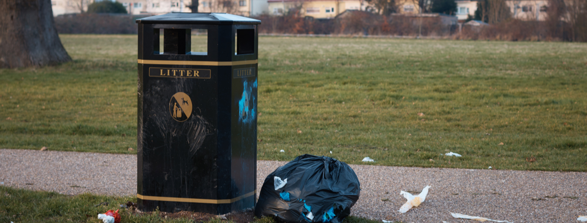 Rubbish being left beside a bin in a public park