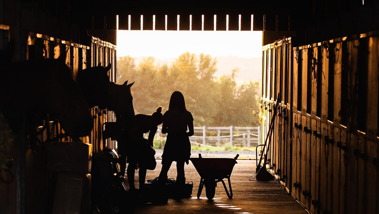 Business News article entitled Ashford businesses invited to apply for EU funding