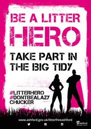 Be a Litter Hero poster in Pink
