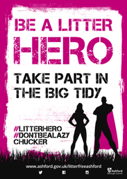 Be a Litter Hero poster in Pink