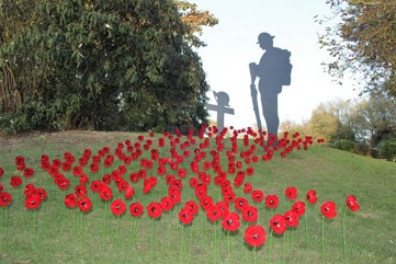 Ashford poppy display