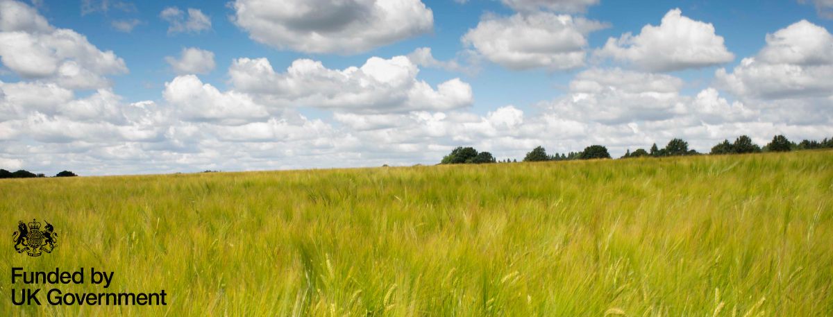A picture of a rural area with the Funded by UK Government logo in the bottom left corner