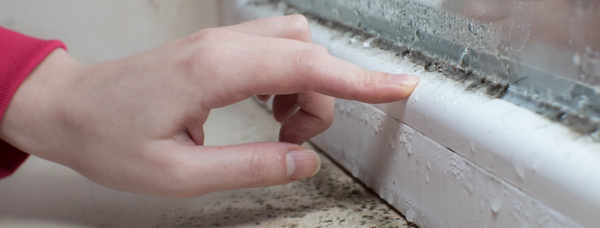 A picture of someone pointing out damp and mould on a window