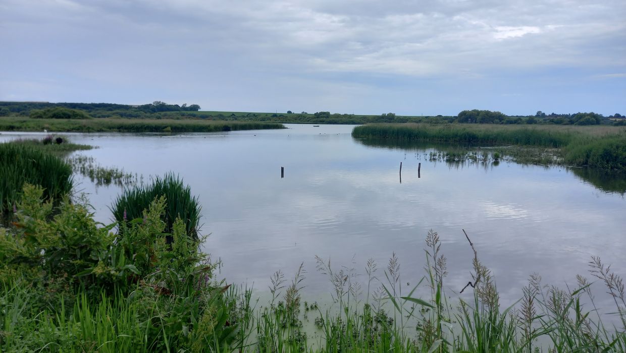 a lake in rural area tile