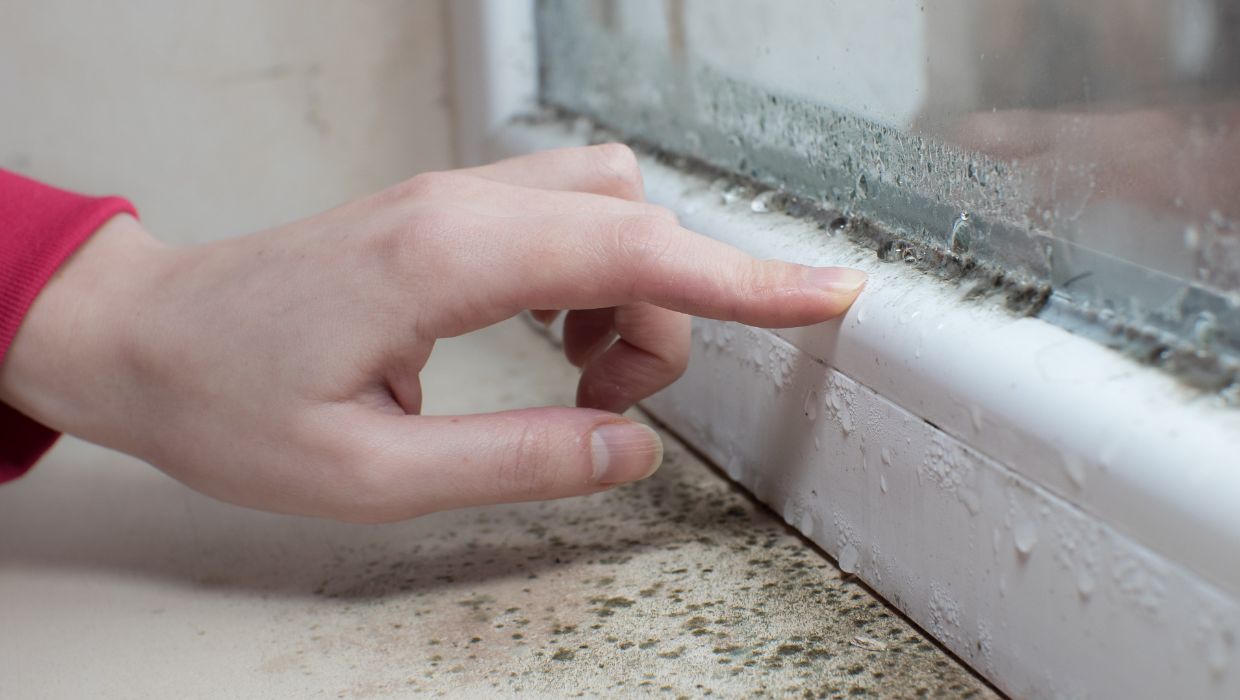 A picture of someone pointing out damp and mould on a window