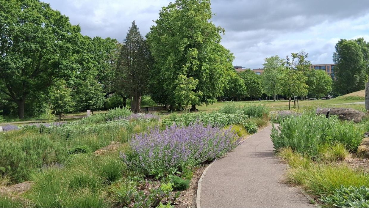 Victoria Park's sensory garden