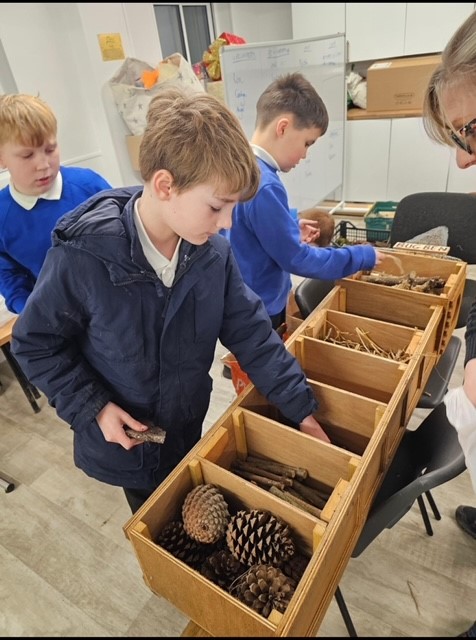 Image entitled Stuffing Bug Ben