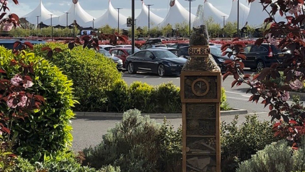 Bug Hotel Bug Ben in plants at Ashford Designer Outlet