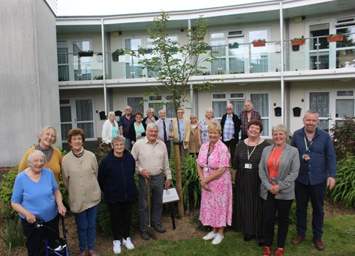 Residents of Luckley House planting a Coronation cherry blossom tree
