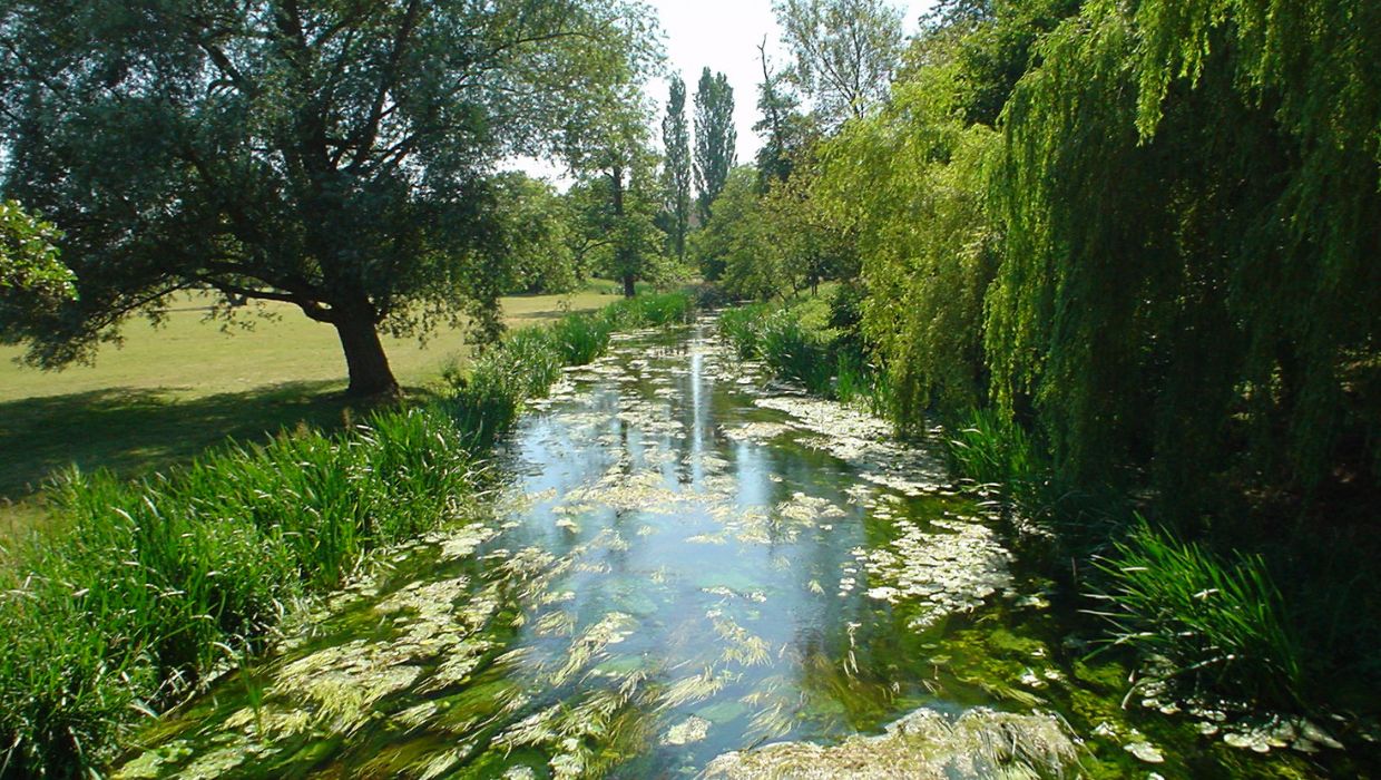 A picture of the River Stour