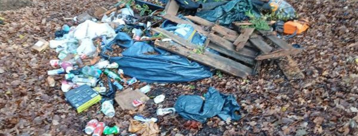 The fly-tipping in question that saw an Ashford resident receive a £1000 Fixed Penalty Notice