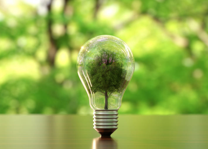 Image entitled lightbulb with tree inside.