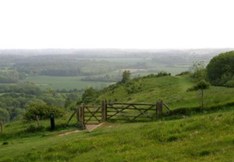 A photo of rural Ashford