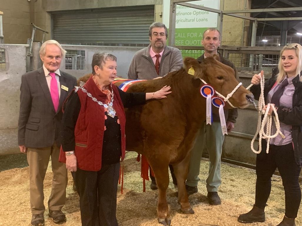 The Mayor at the Ashford Cattle Show