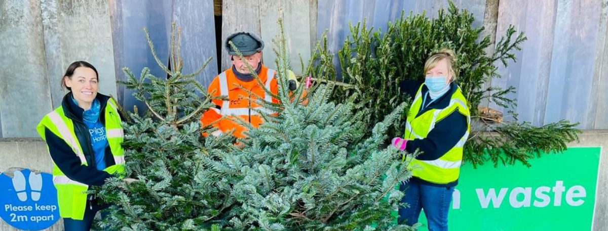 Pilgrims Hospice staff and volunteers recycling Christmas trees