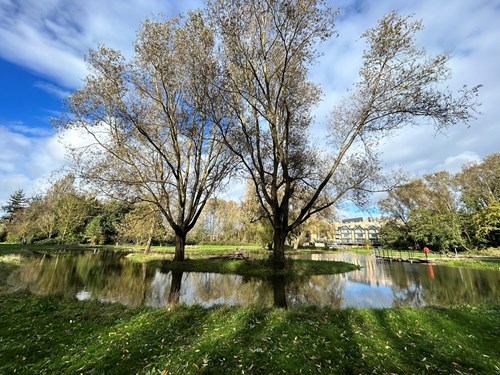 Seasonal wetland at Victoria Park