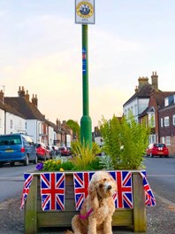 dog posing behind union jack bunting