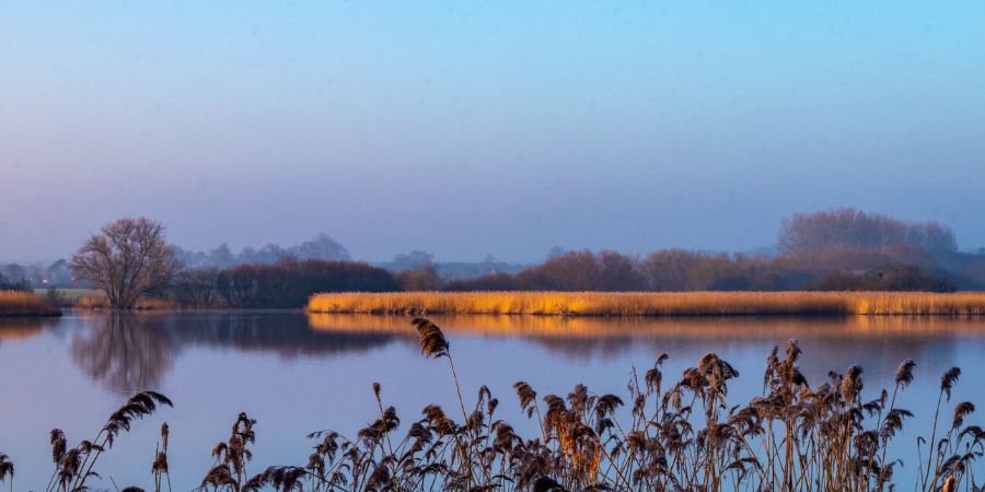Image entitled Stour Environmental Credits begin selling nutrient credits and opening building opportunities in the Stour catchment