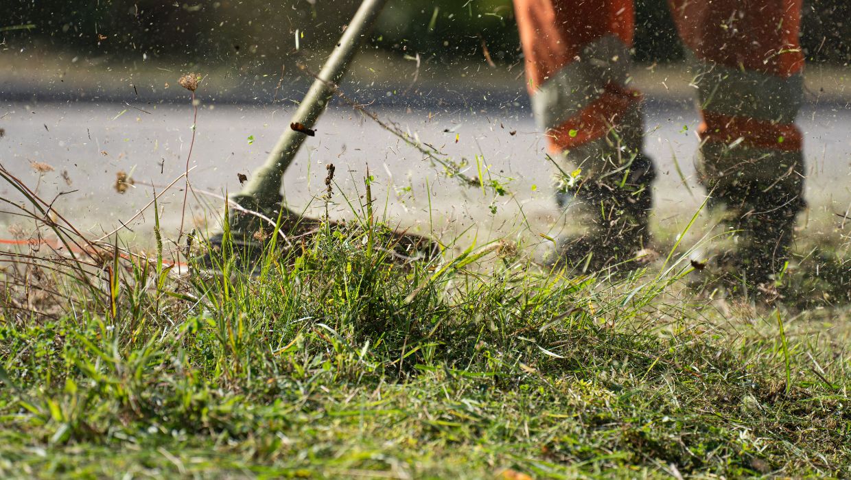 A picture of grass being cut