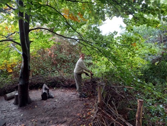 Making a natural fence