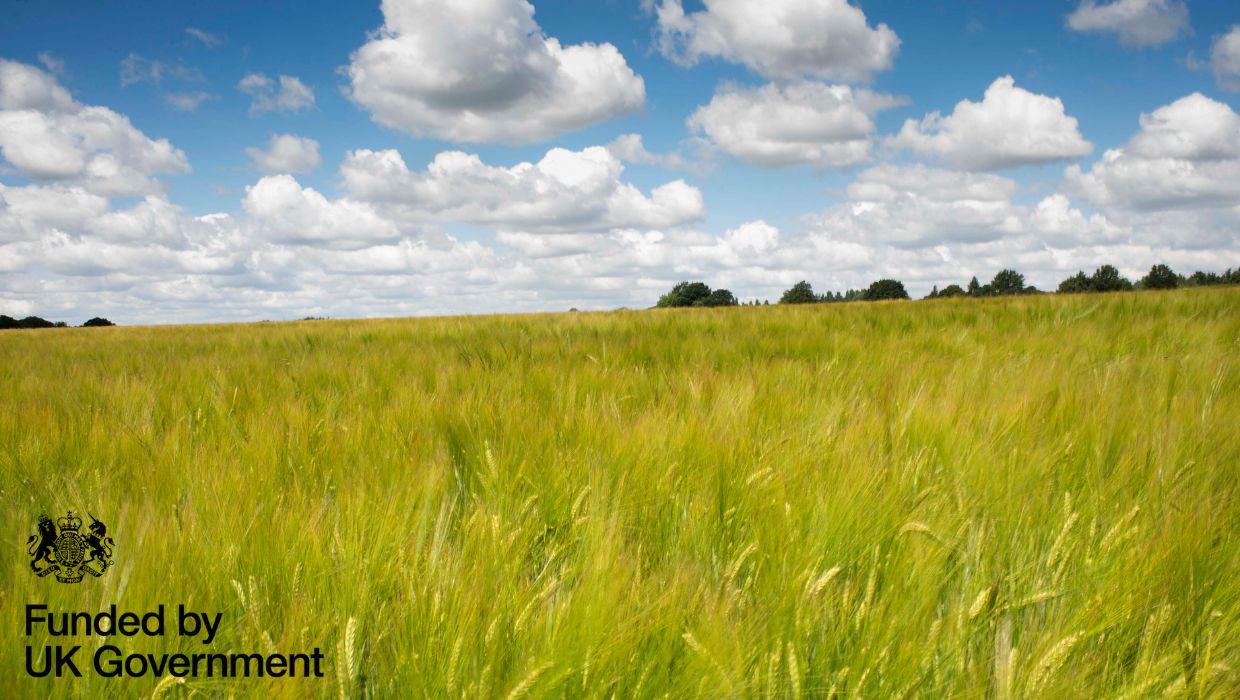 A picture of a rural area with the Funded by UK Government logo in the bottom left corner