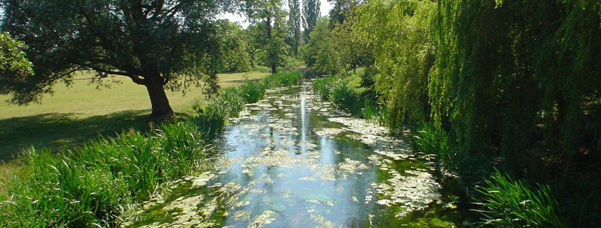 A picture of the River Stour