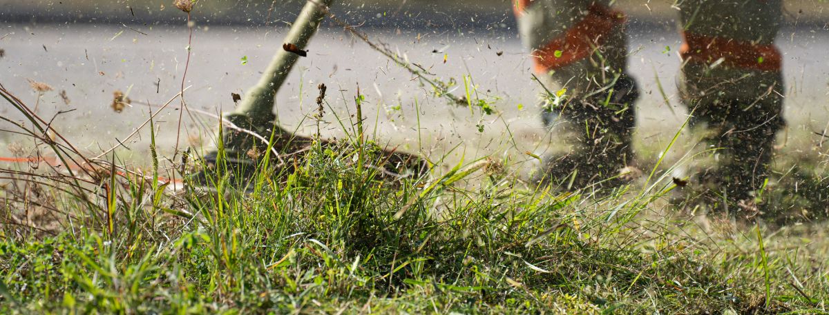 A picture of grass being cut